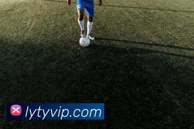 App Interface Preview