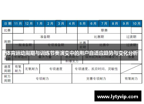 体育运动周期与训练节奏演变中的用户自适应趋势与变化分析